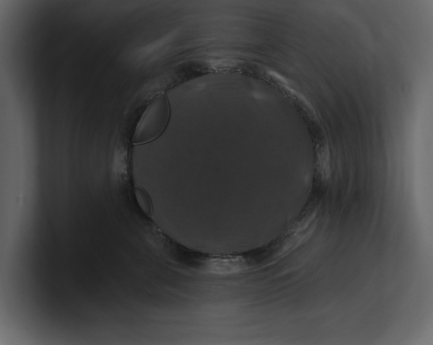 X0000100920571200807151224