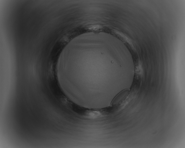 X0000100920572200807151224