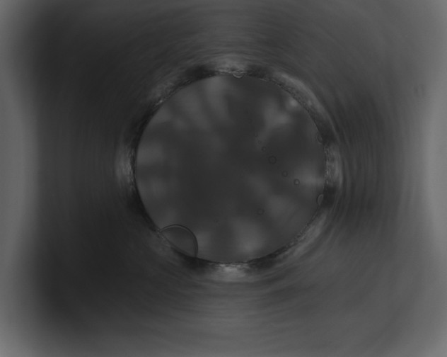 X0000100920573200807151225