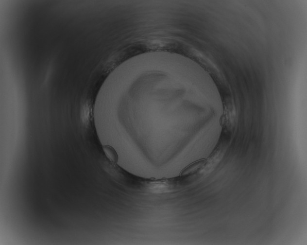 X0000100920574200807151225