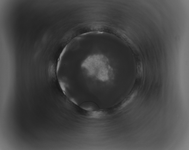 X0000100920575200807151225