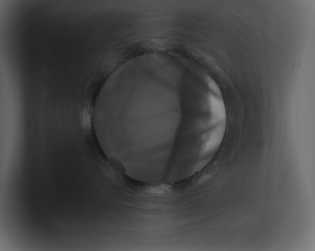 X0000100920576200807151225