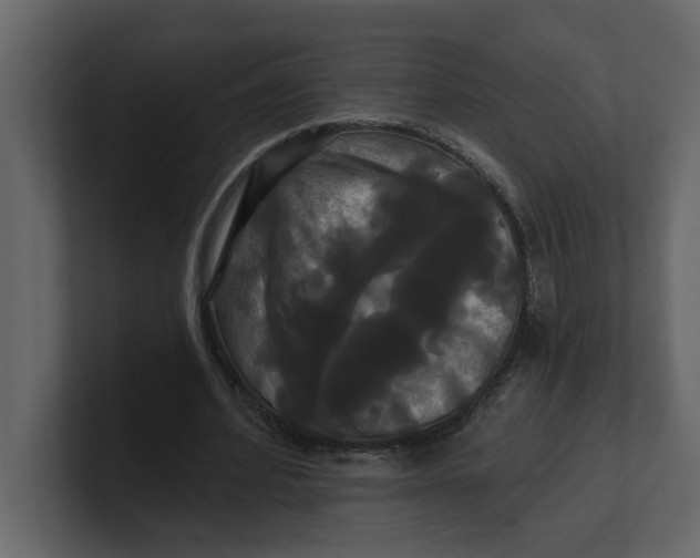 X0000100920580200807151224
