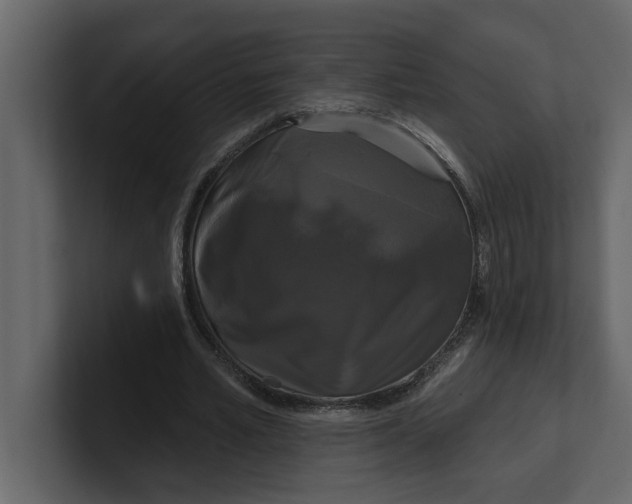 X0000100920581200807151224