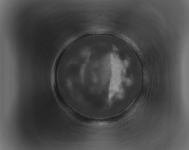 X0000100920582200807151224