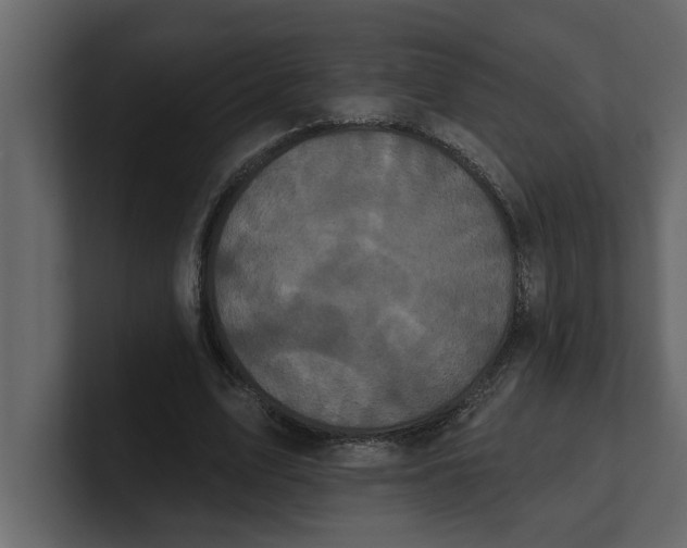 X0000100920583200807151224