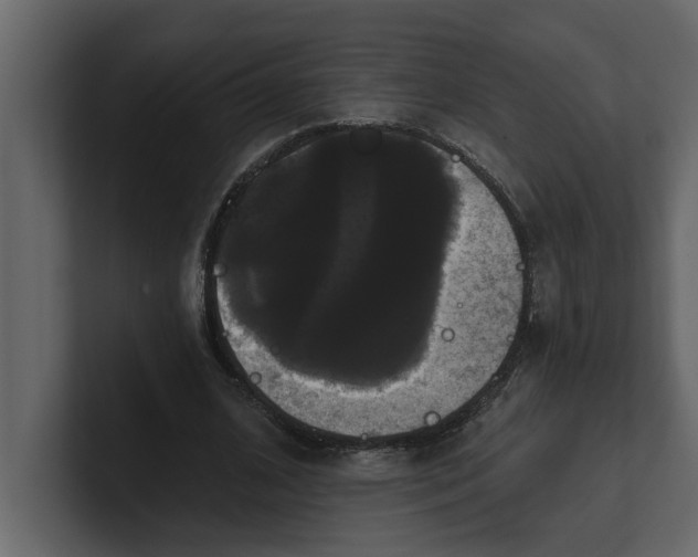 X0000100920584200807151224
