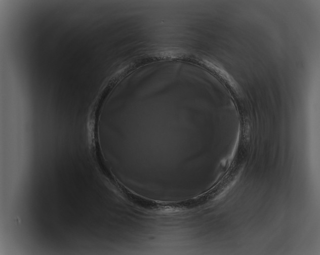 X0000100920585200807151224