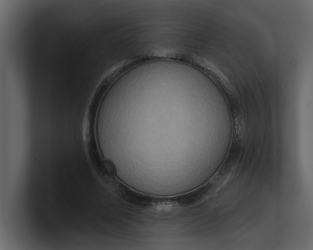X0000100920587200807151224