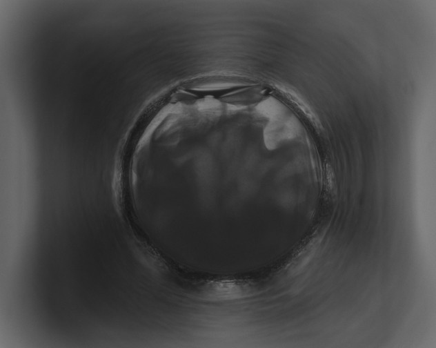 X0000100920588200807151224
