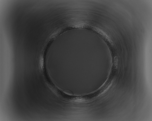 X0000100920589200807151224
