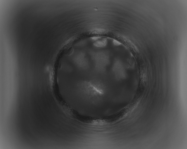 X0000100920591200807151224