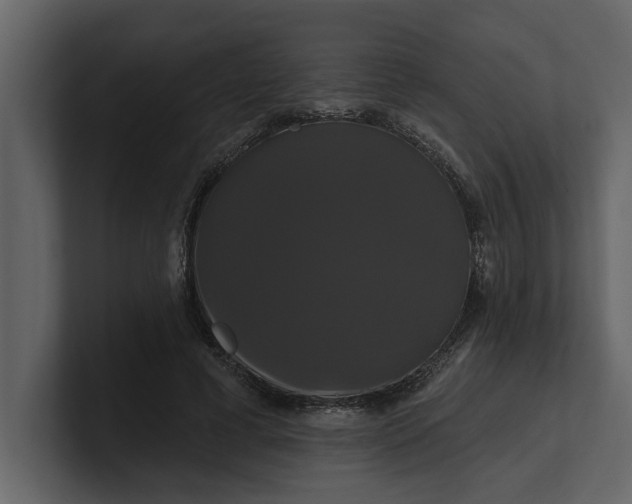 X0000100920593200807151224