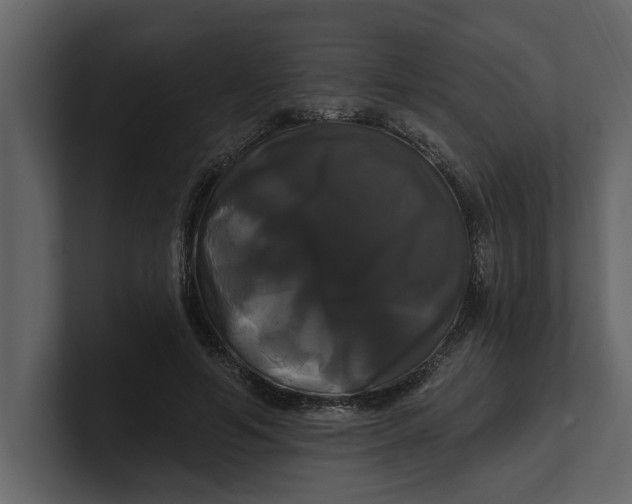 X0000100920594200807151224