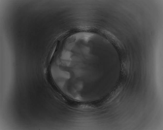 X0000100920596200807151224
