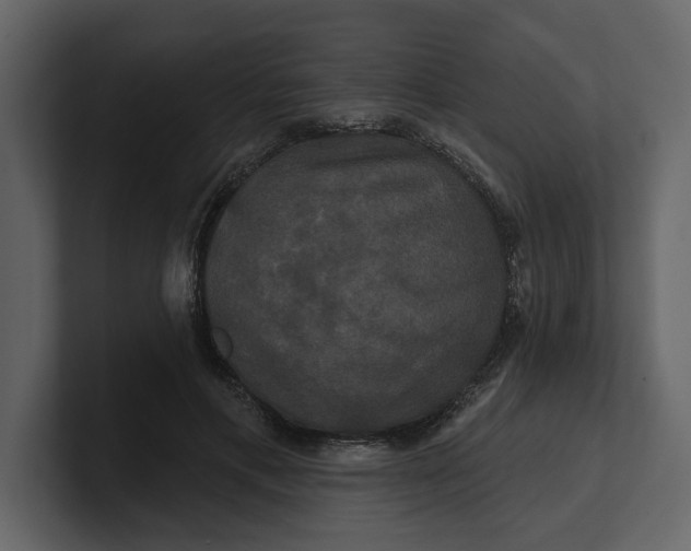 X0000100920597200807151224