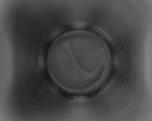 X0000100920599200807151224