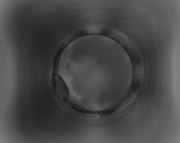 X0000100920600200807151224