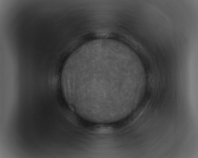 X0000100920601200807151224