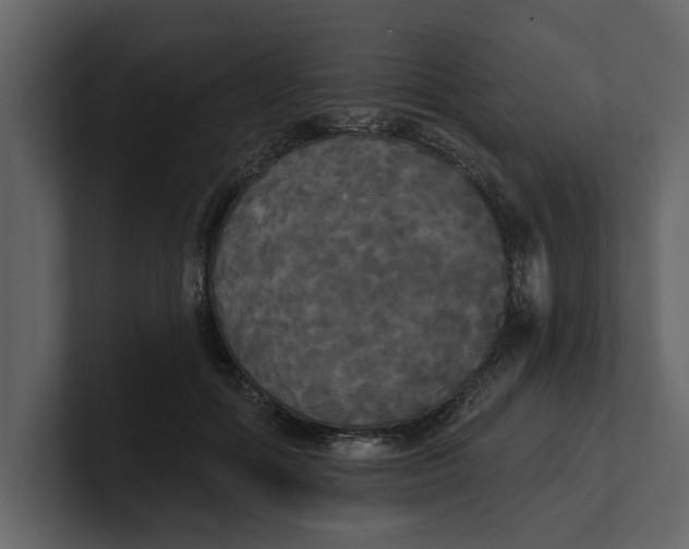 X0000100920602200807151224