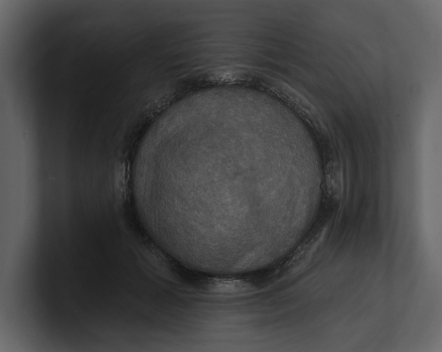 X0000100920605200807151223