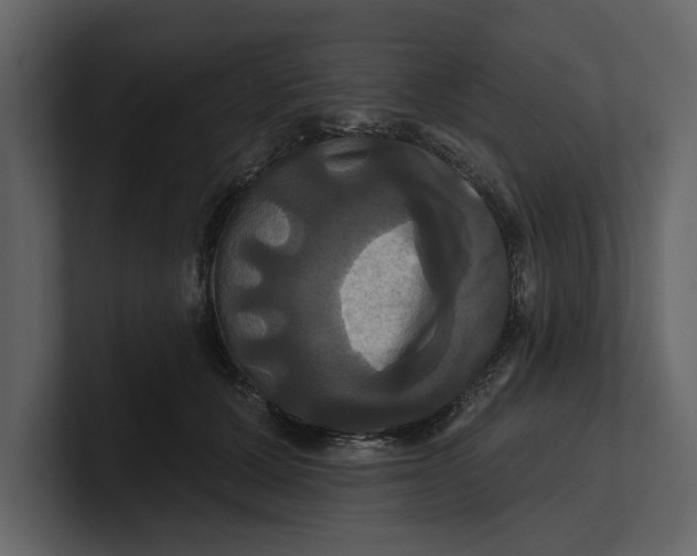 X0000100920607200807151223