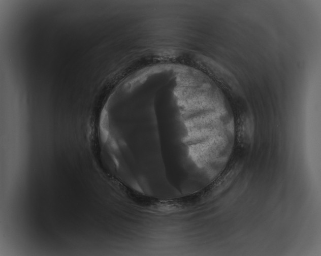 X0000100920608200807151223