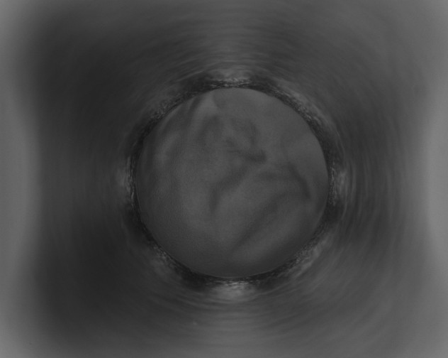 X0000100920609200807151223