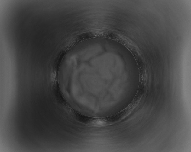 X0000100920610200807151223