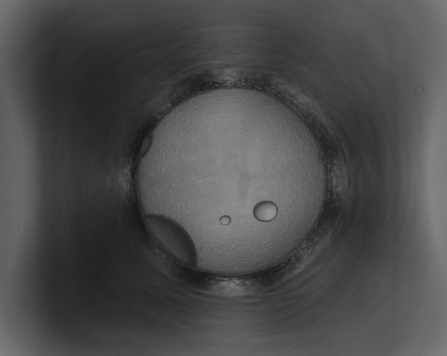 X0000100920611200807151223