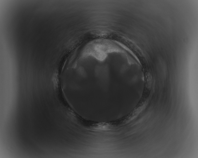 X0000100920612200807151223