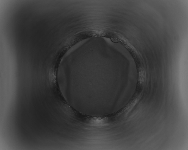 X0000100920613200807151223