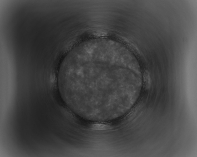 X0000100920614200807151223