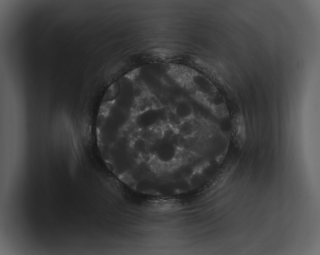 X0000100920615200807151223