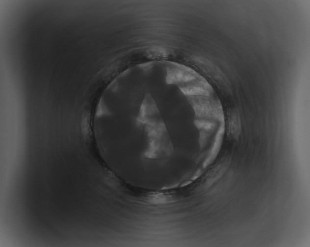 X0000100920616200807151223