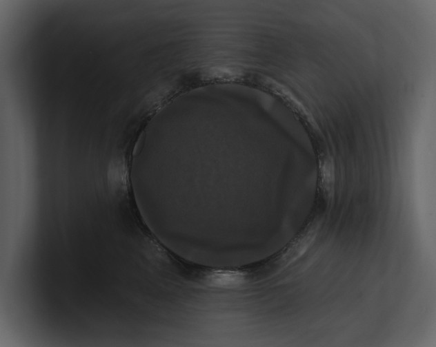 X0000100920617200807151223