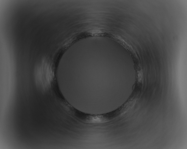 X0000100920618200807151223