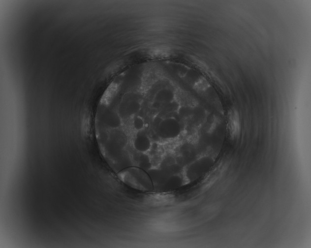 X0000100920619200807151223