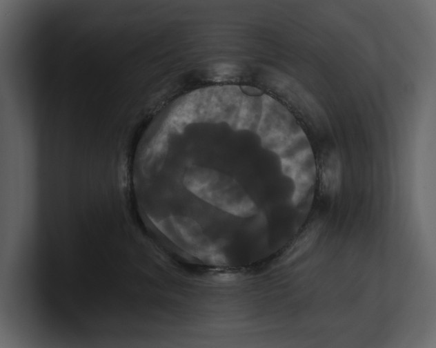 X0000100920620200807151223