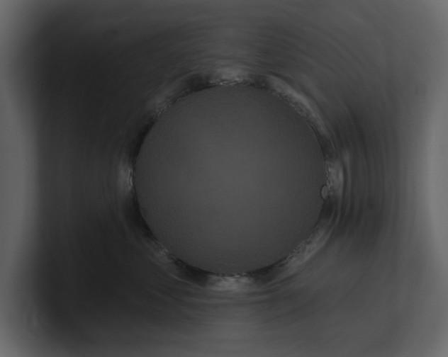 X0000100920621200807151223