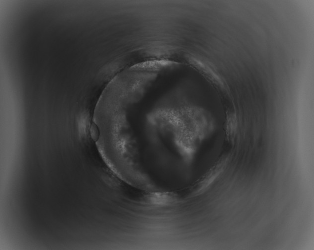 X0000100920623200807151223