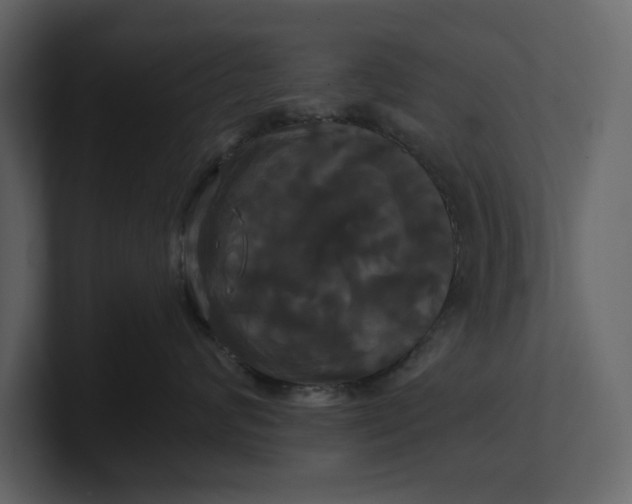 X0000100920624200807151223