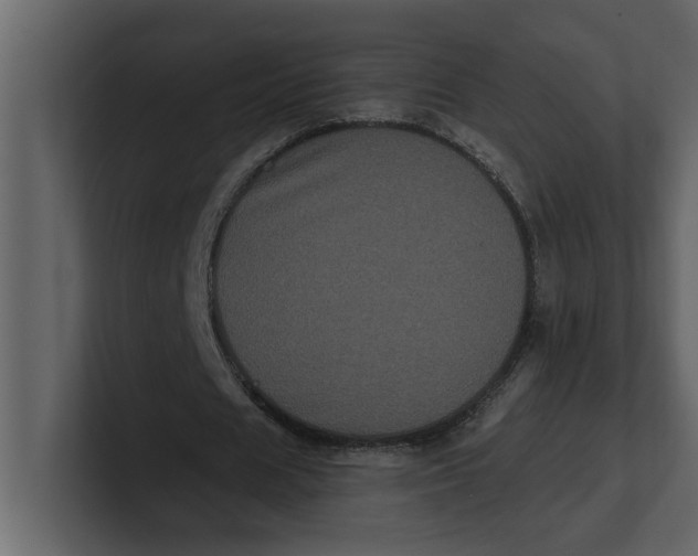 X0000100920625200807151223