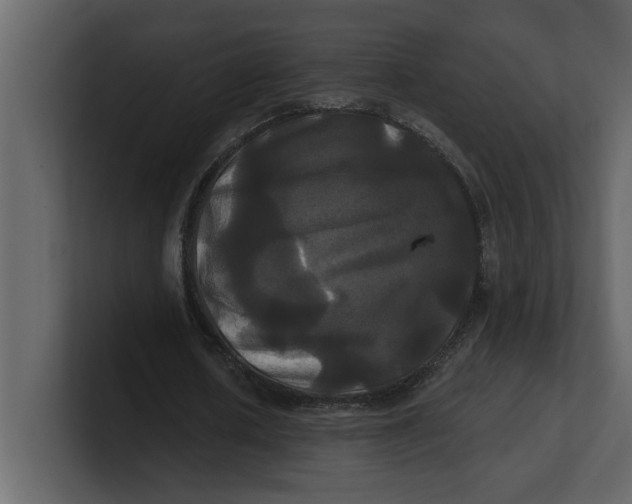 X0000100920626200807151223