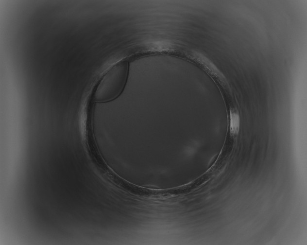 X0000100920627200807151223