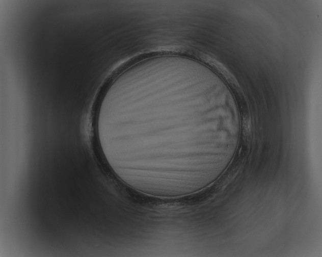 X0000100920628200807151223