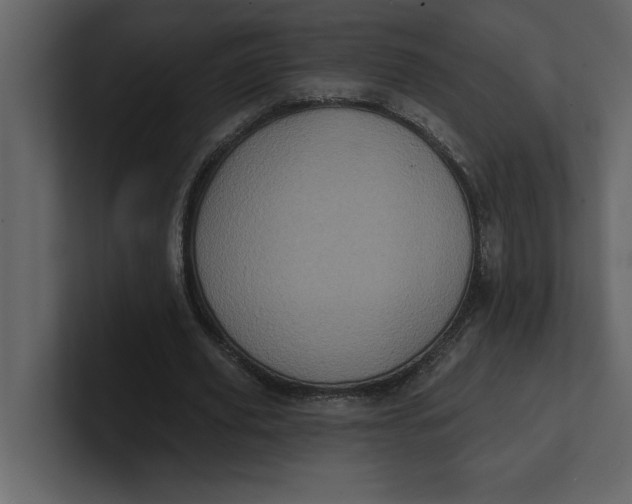 X0000100920629200807151223