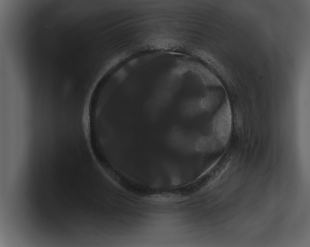 X0000100920630200807151223