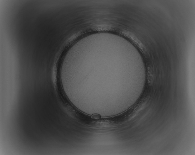 X0000100920631200807151223