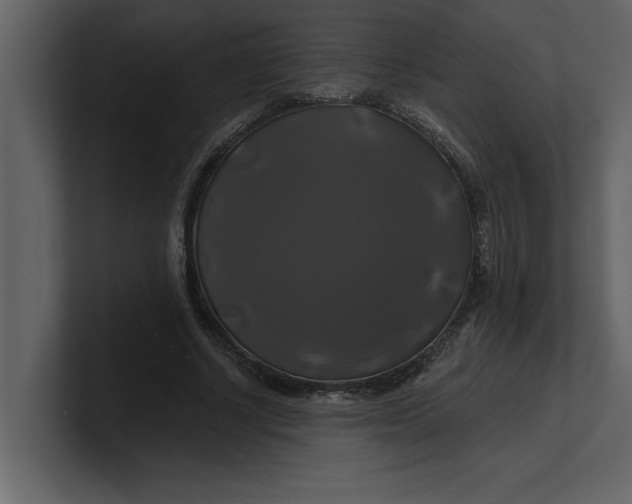 X0000100920634200807151223